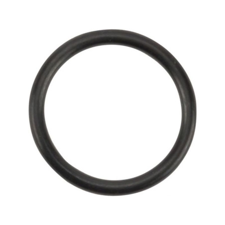 Pierścień oring, 21,90  x  2,62 mm