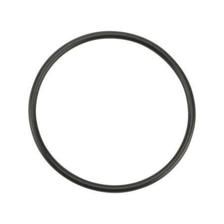 O-ring 48,90 x 2,62 90 Shore