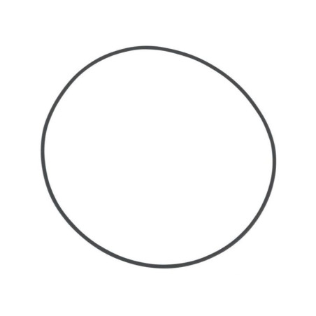 Pierścień oring, 195  x  3,50 mm, Viton