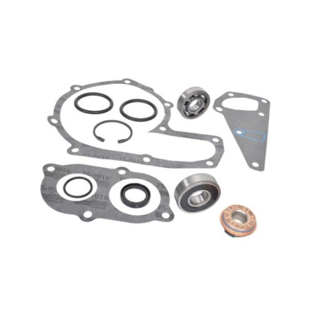 Zestaw naprawczy pompy wody, C 162000060751 Case IH 8719607007009