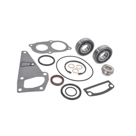 Zestaw naprawrawczy pompy wody 162000060776 Case IH 162000060776