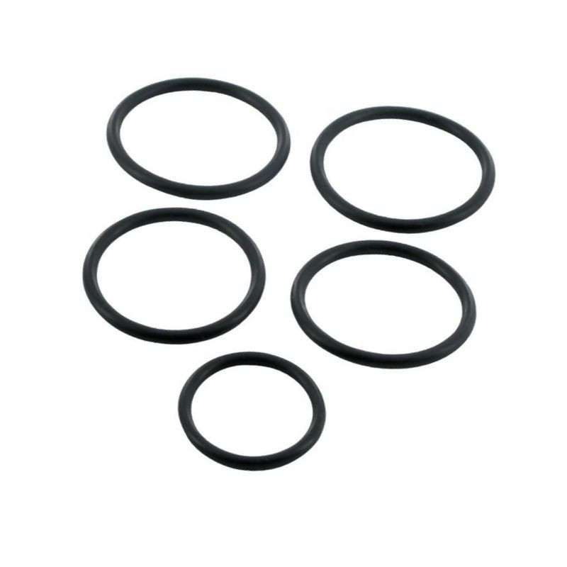 Zestaw uszczelek Fiat 66 &; 99 SV9N96028 AK Regeltechnik 4044841860139
