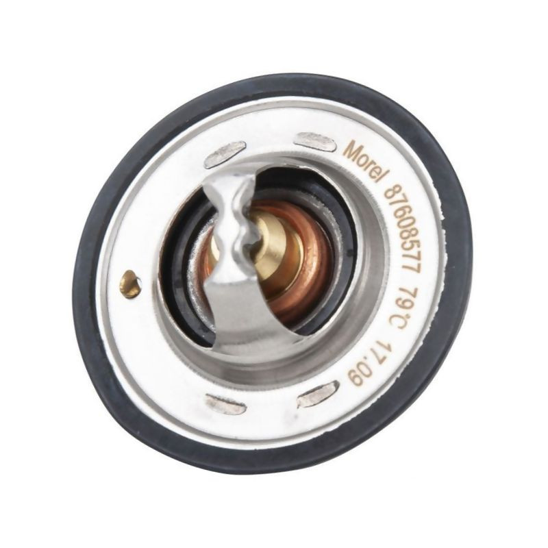 Termostat 98463637 fi54 79°C pasuje do Fiat