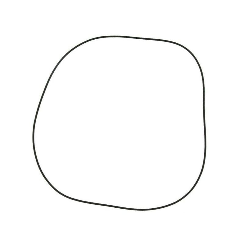 O-ring 83417133N