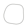 O-ring 83417133N