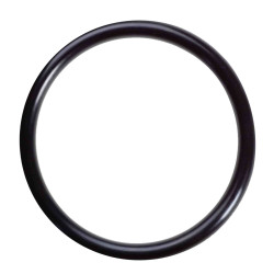 ORING  (6005019120)