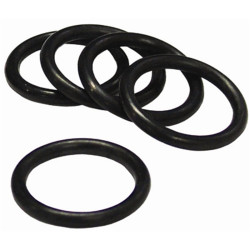 ORING  (6005021211)