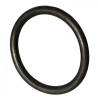 ORING  (6005023949)