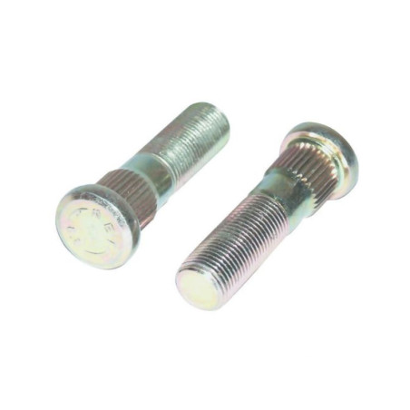 Wheel bolt