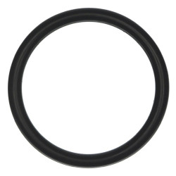 ORING  (6005022144)
