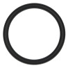 ORING  (6005022144)