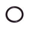 ORING  (6005023914)