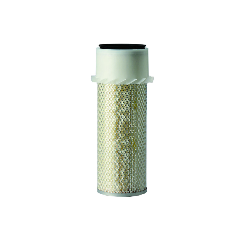 FILTR POWIETRZA (P119135)