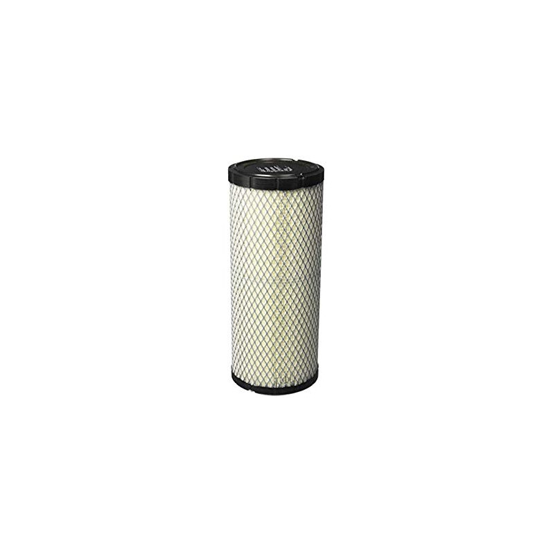 Filtr Powietrza (P822768)