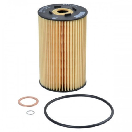 Filtr Oleju (P550766)