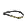 R71602 John Deere Pasek JD