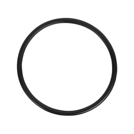 Oring MF 3009744X1