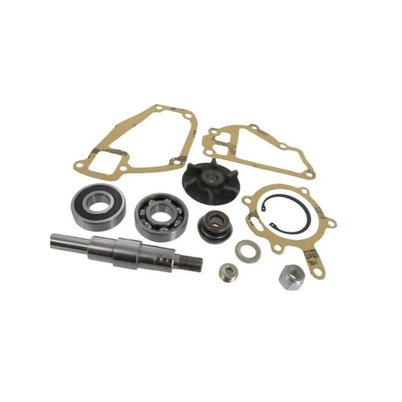 Zestaw naprawczy pompy wody MF 3641333M91 Massey-Ferguson 3641333M91
