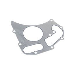 Uszczelka do pompy wody, Masse 4224960M1 Massey-Ferguson 4224960M1