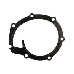 Uszczelka pompy wody, MF 4225204M1, 24880234 Massey-Ferguson 4225204M1