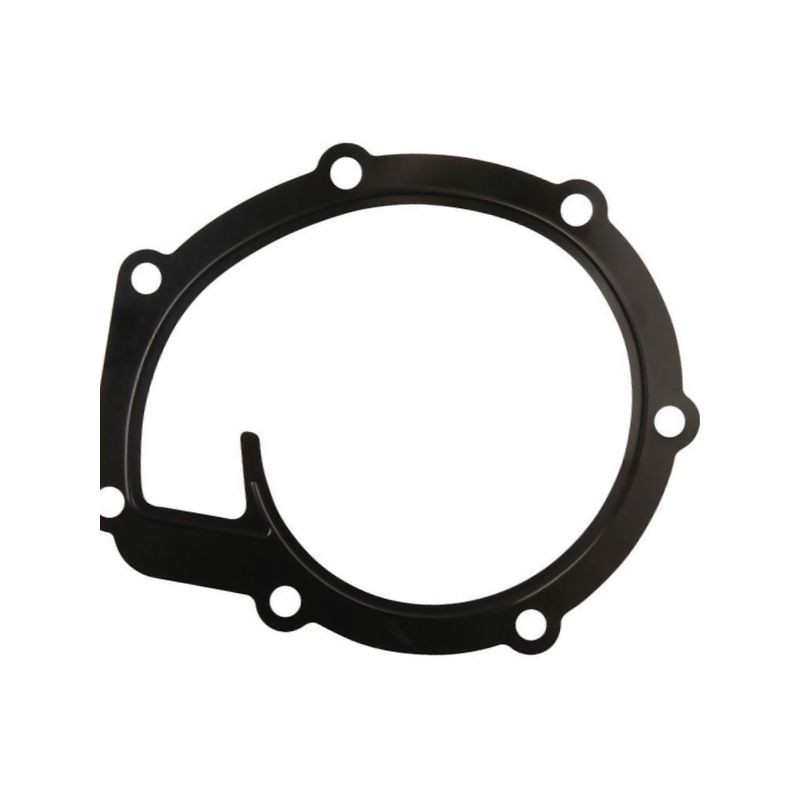 Uszczelka pompy wody, MF 4225204M1, 24880234 Massey-Ferguson 4225204M1