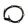 Uszczelka pompy wody, MF 4225204M1, 24880234 Massey-Ferguson 4225204M1