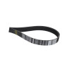 Pasek klinowy 4286263M1 Massey-Ferguson 8719607053891