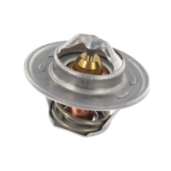 Termostat V836015156 fi54 79°C oryginał MF