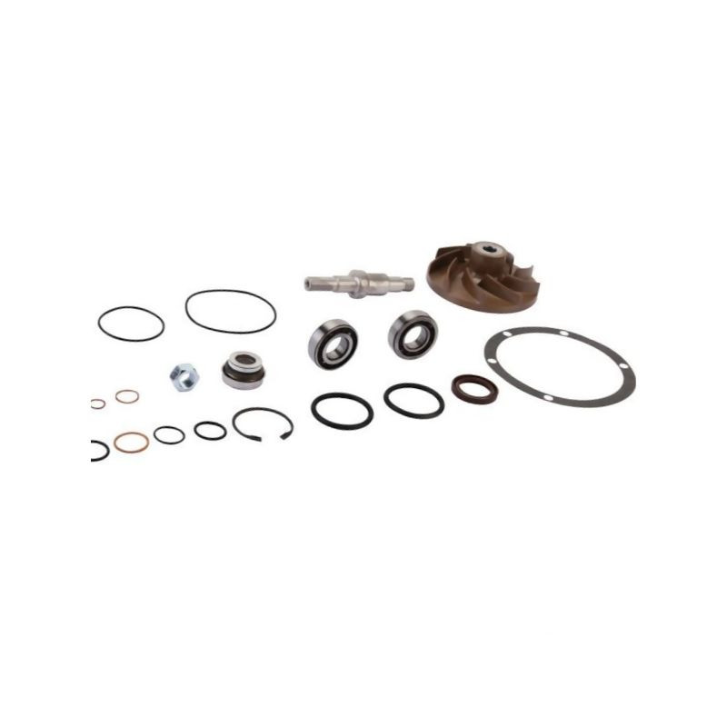 Zestaw naprawczy pompy wody MF V836862271 Massey-Ferguson V836862271