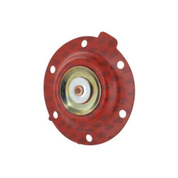 Zestaw pomp paliwowych MF 4222219M91 Massey-Ferguson 4222219M91