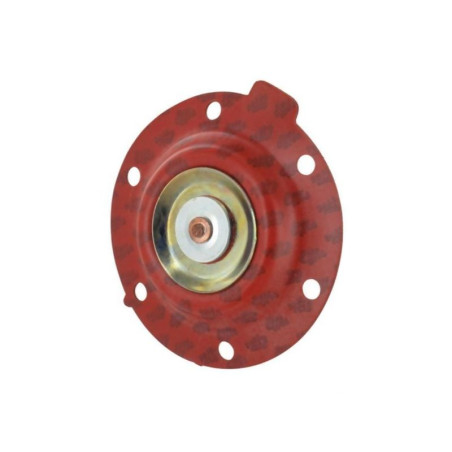 Zestaw pomp paliwowych MF 4222219M91 Massey-Ferguson 4222219M91