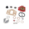 Zestaw pomp paliwowych MF 4222326M91 Massey-Ferguson 4222326M91