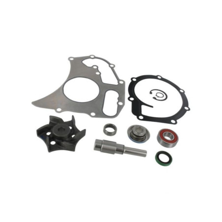 Zestaw naprawczy pompy wody MF 4225070M91 Massey-Ferguson 8719607047975