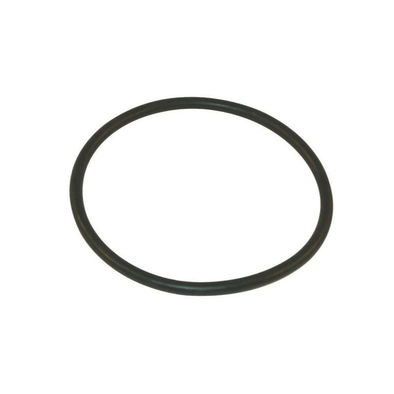 316000050 Uszczelka pokrywy filtra 126,40 x 6,99 EPDM Arag 8716106790647