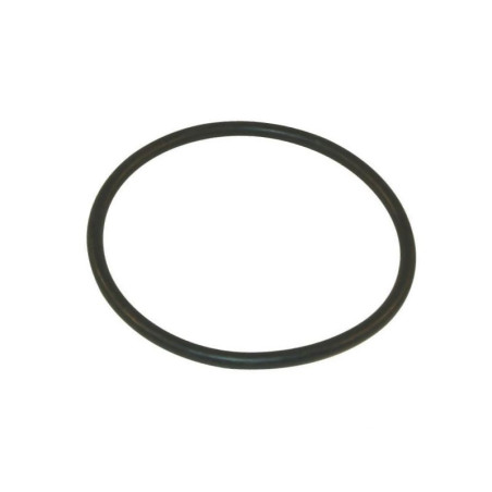316000050 Uszczelka pokrywy filtra 126,40 x 6,99 EPDM Arag 8716106790647