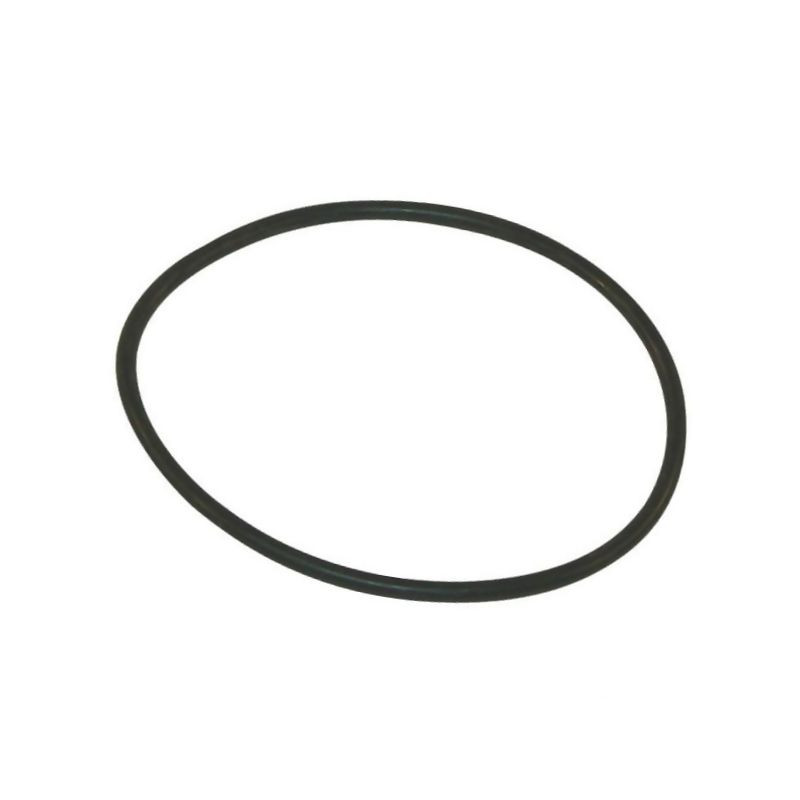 Pierścień samouszczelniający 8 G11067 Arag 8026834050211