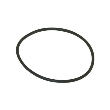 Pierścień samouszczelniający 8 G11067 Arag 8026834050211