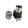 Deutz 02925624 Zestaw naprawczy, tłoki / tuleje cylindrowe