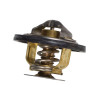 Termostat 00071258320 fi54 79°C oryginał SDF