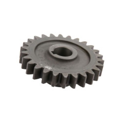 Claas 000668822.0, 668822.0, Koło zębate Z-26, fi 24 mm