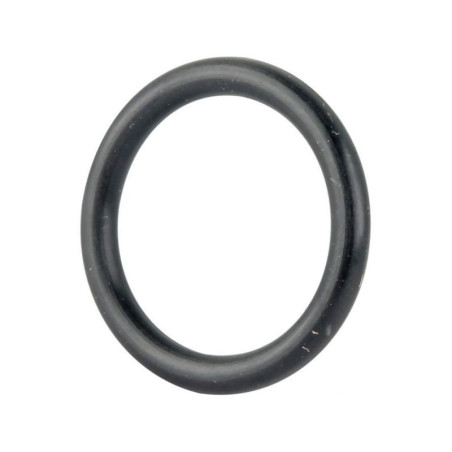 Pierścień oring