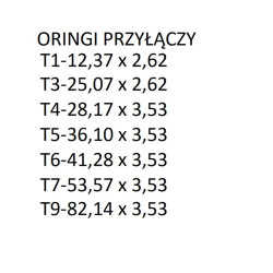 Zatyczka Męska T6 Arag 8026834251298