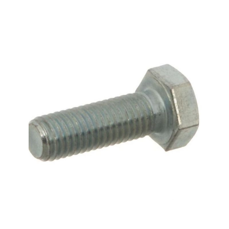 Drum cover plate bolt 300389 New Holland 300389