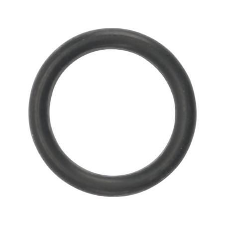 O-ring 9617873