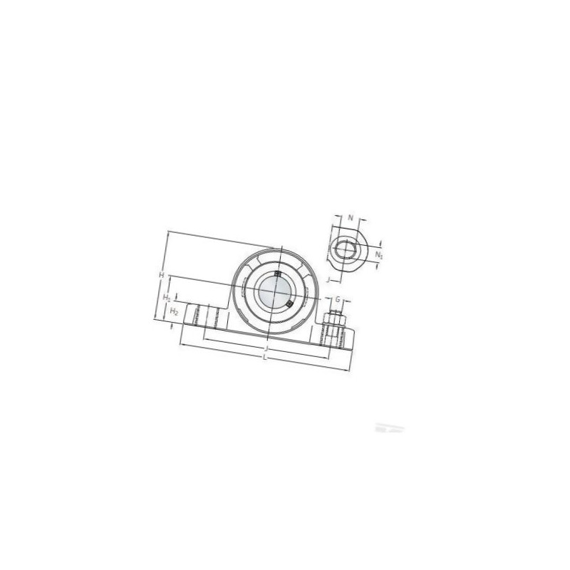Obudowa SKF Food Line calowa P2BC100CPSS