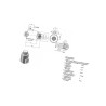 Cewka Fi32 L75 okrągła 24V AK Regeltechnik 8716106603138