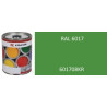 Lakier do maszyn RAL, 6017 zielony majowy 1 l