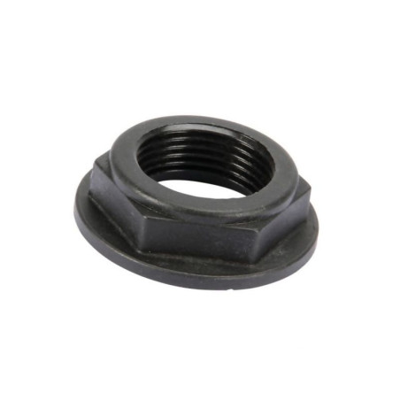 Rau-Nakrętka 3/4" VN38615505 Vicon 9038615505000