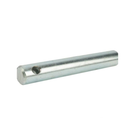 Sworzeń 7002150730