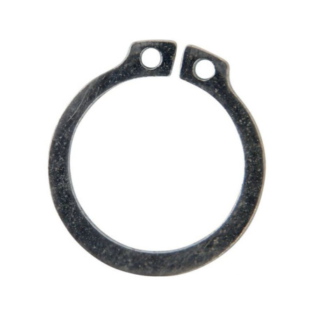 Tarcza 100407011